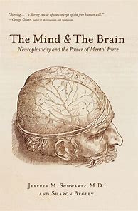 Image result for The Mind and the Brain Book