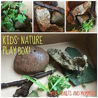 Image result for Nature Activity