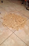 Image result for BARF Throw Up