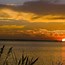 Image result for Sunset PC Wallpaper