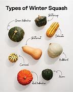 Image result for Winter Squash Chart