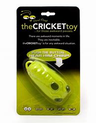 Image result for Chirping Cricket Toy