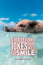 Image result for Smile Humor