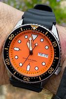 Image result for Grand Seiko Dive Watch