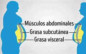Image result for adiposicad