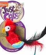 Image result for Bird Cat Toy