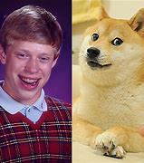 Image result for Doge Kabosu Meets Bad Luck Brian