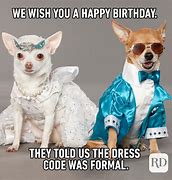 Image result for Funny Animal Birthday Memes