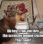 Image result for Cat Couch Meme