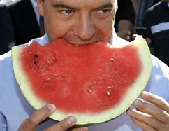 Image result for Watermelon Business Meme