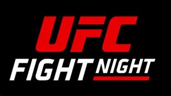 Image result for UFC Fight Images