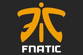 Image result for Fnatic Team