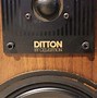 Image result for Celestion Ditton 110