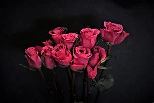 Image result for Pink Rose Bouquet