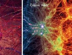 Image result for Brain Nerves and the Universe