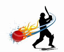 Image result for Cricket Payers Vectors
