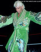 Image result for Ric Flair Images