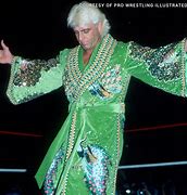 Image result for Ric Flair Style