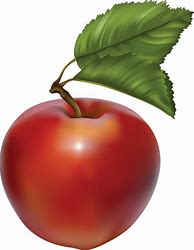 Image result for Apple Icon PNG