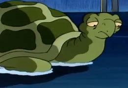 Image result for Hey Arnold Turtle Meme