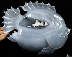 Image result for Geode Fish