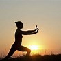 Image result for Tai Chi Chuan Art
