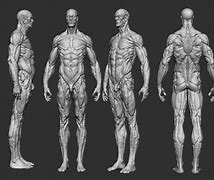 Image result for 3D Body Print Top