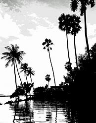 Image result for Aesthetic Palm Tree Neon Backgrounds