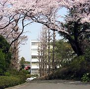 Image result for Tokyo Zokei University