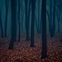 Image result for Dark Forest Backdrop