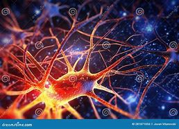 Image result for Human Brain Neurons Firing