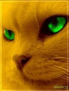 Image result for Neon Green Cat