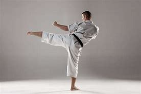 Image result for Karate Kata