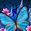 Image result for Butterfly Vector iPhone Wallpaper