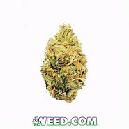 Image result for Hybrid Strains