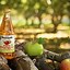 Image result for Cup of Apple Juice