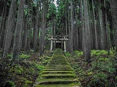 Image result for Kamo Shrine in Movies