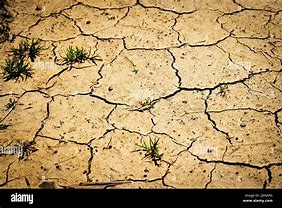Image result for Sandy Cracked Floor Texture