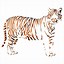 Image result for Free Printable Tiger Stencil