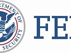 Image result for FEMA Badge