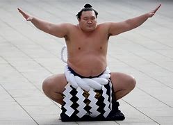 Image result for Sumo World Champion