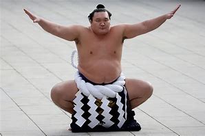 Image result for Sumo Wrestler Man