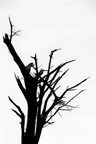Image result for Damaged Tree Symbol