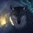 Image result for Amazing Wolf Backgrounds