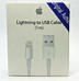 Image result for iPhone Original Cable