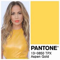 Image result for Space Gray Pantone Color