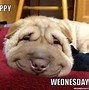 Image result for Funny Wednesday Office Memes