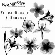 Image result for Photoshop Flower Brushes Free