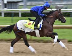 Image result for Kentucky Derby Horse Race