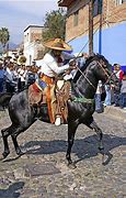 Image result for Mexican Dance Horse